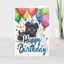 Affenpinscher med Balloons Birthday