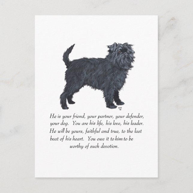 Affenpinscher-minne Vykort (Framsida)
