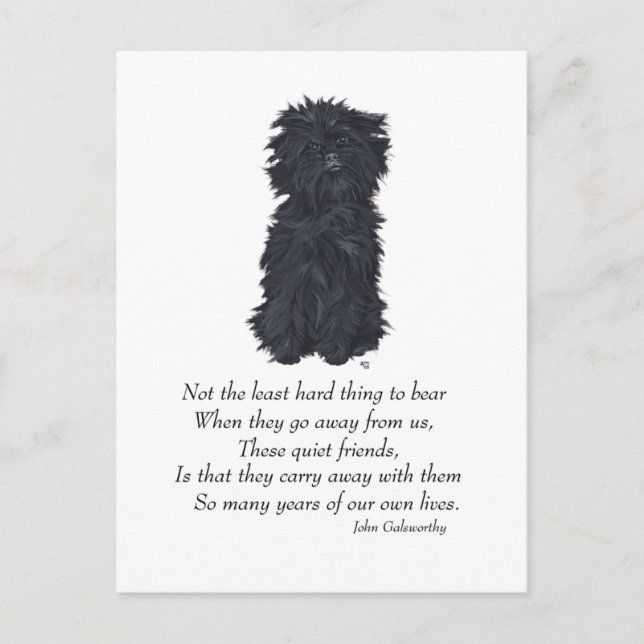 Affenpinscher-minne Vykort (Framsida)