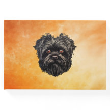 Affenpinscher Monkey Hund Affens Terrier