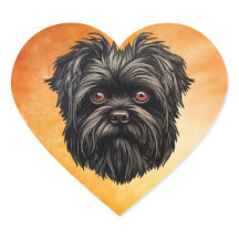 Affenpinscher Monkey Hund Affens Terrier