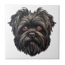 Affenpinscher Monkey Hund Affens Terrier