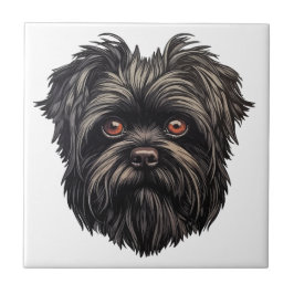 Affenpinscher Monkey Hund Affens Terrier Kakelplatta