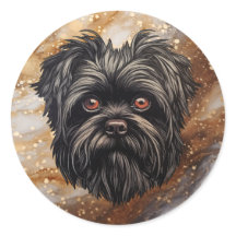 Affenpinscher Monkey Hund Affens Terrier