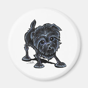 Affenpinscher på lek magnet