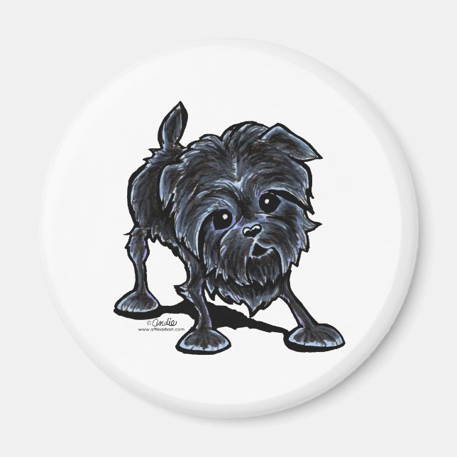 Affenpinscher på Play Magnet (Framsidan)