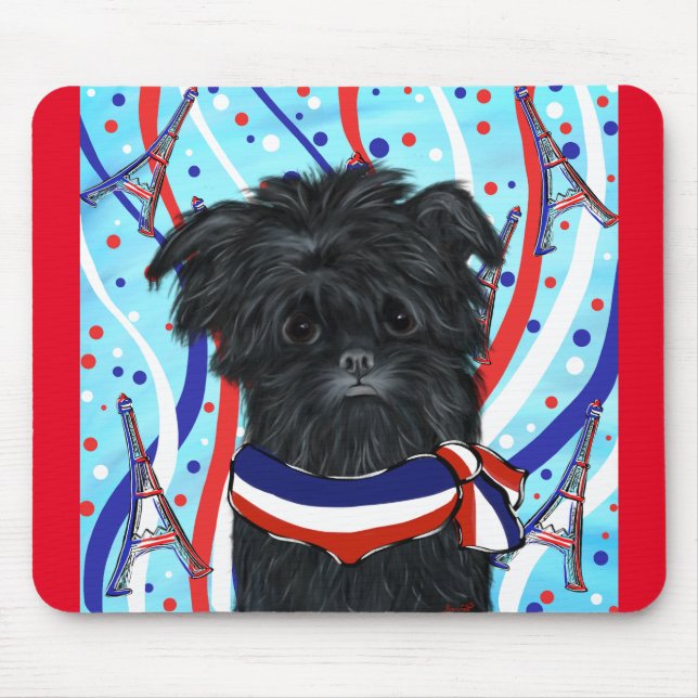 Affenpinscher Paris Musmatta (Framsidan)