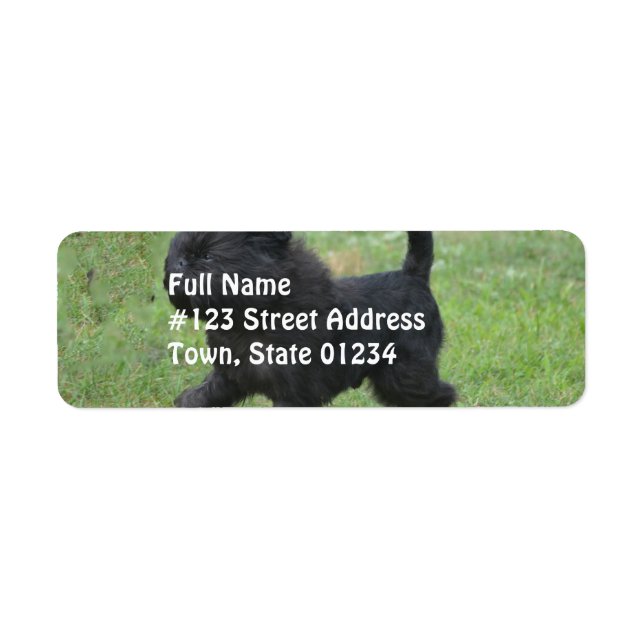 Affenpinscher Returadress Etikett (Framsidan)