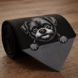 Affenpinscher Rolig Tittande Valp Hund Ägare Slips