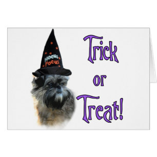 Affenpinscher Trick Hälsningskort