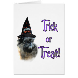 Affenpinscher Trick Hälsningskort