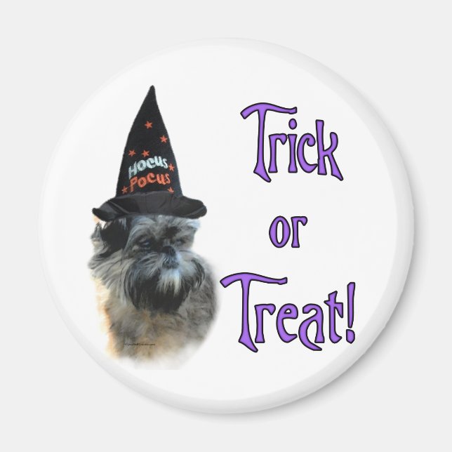 Affenpinscher Trick Magnet (Framsidan)