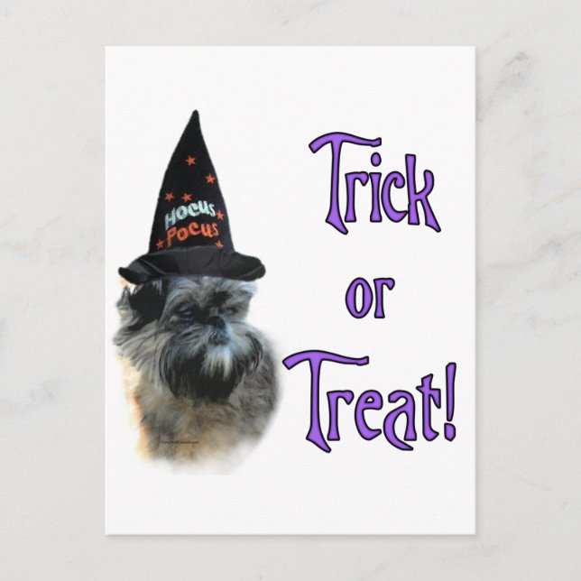 Affenpinscher Trick Vykort (Framsida)