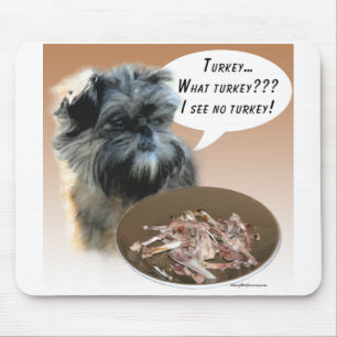 Affenpinscher Turkey Musmatta