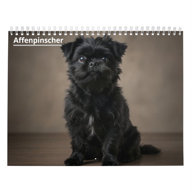 Affenpinscher Väggkalender. Kalender (Omslag)