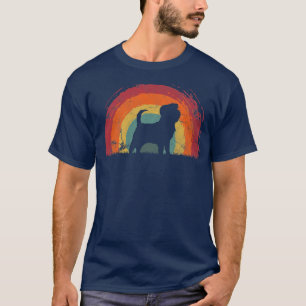 Affenpinscher Vintage Rainbow Hund Manar Kvinnor  T Shirt