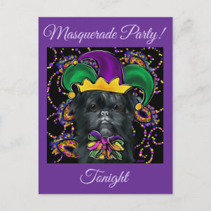 Affenpinscher Vykort
