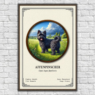 Affenpinscher Zoologisk Serie Poster