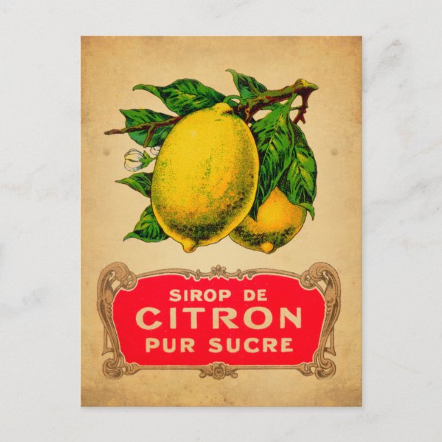 Affiche citron, lemon, fruit, citrus, green, yello vykort (Framsida)