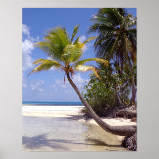 Affiche Lagon bleu de Rangiroa Poster