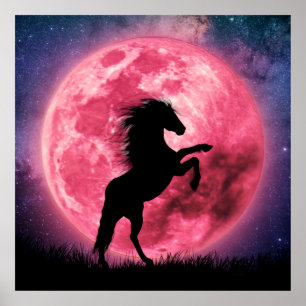 Affiche Le cheval et la lune ro Poster