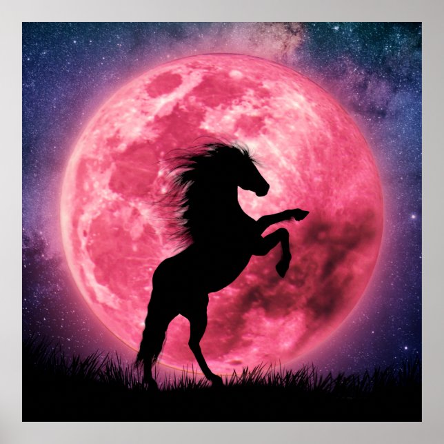 Affiche Le cheval et la lune ro Poster (Framsidan)