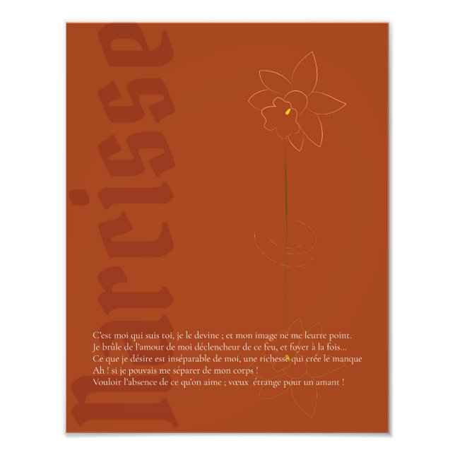 Affiche Narcisse Fototryck (Framsidan)