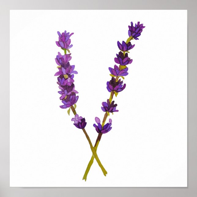 Affiche, poster lavande aquarelle (Framsidan)