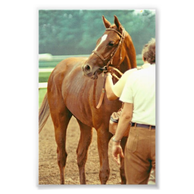 Affirmed Thoroughavlade Racehorse 1978 Fototryck (Framsidan)