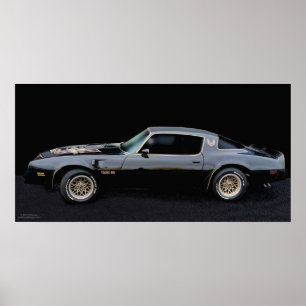 AFFISCH 1978 FÖR TA 6,6 TRANSAM