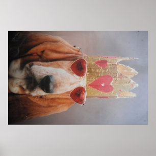 Affisch Basset Hound King