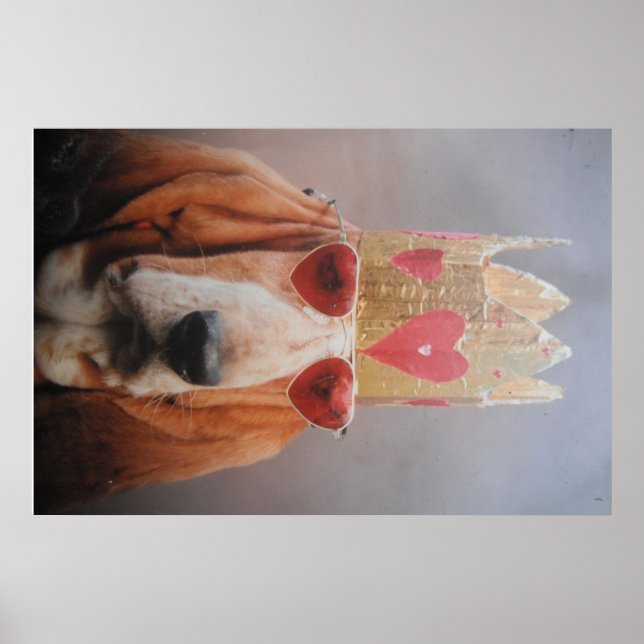 Affisch Basset Hound King (Framsidan)