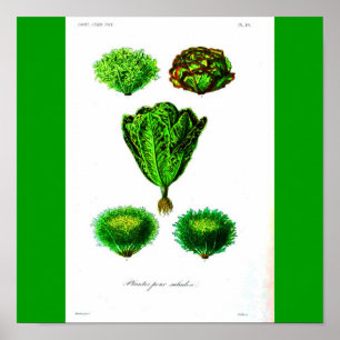 Affisch-Botanicals-Grönsallater Poster