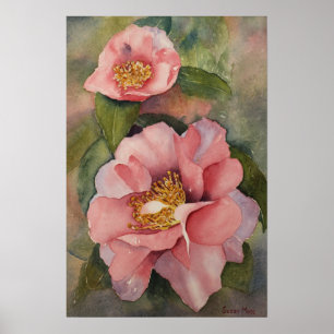 AFFISCH - 'Camellia i Bloom