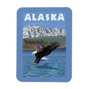 Affisch för AlaskaBald örnvintage resor Magnet