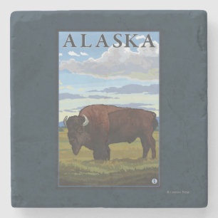 Affisch för Bisonplatsvintage resor Underlägg Sten