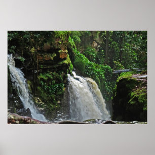 Affisch för Brasilien Rainforestvattenfall
