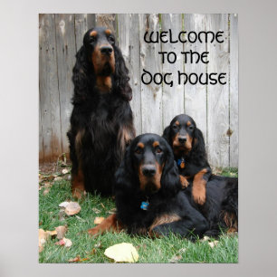 Affisch för generationer för Gordon Setter