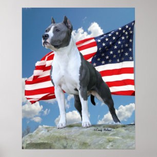 Affisch för groptjur (den amerikanStaffordshire