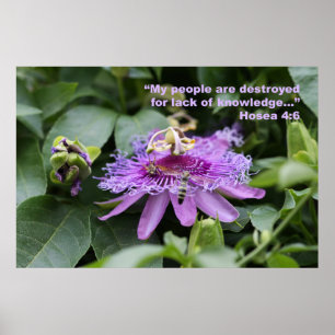 Affisch för Hosea 4:6Scripture