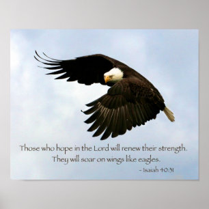 Affisch för Isaiah 40:31örn