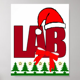 AFFISCH FÖR JULSANTA LABORATORIUM