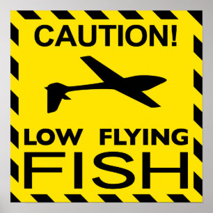 Affisch "för låg flygfisk"