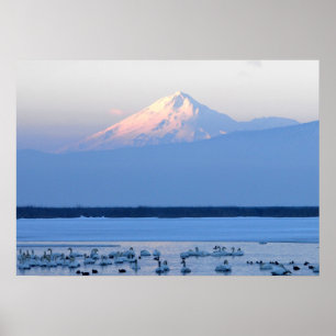 Affisch för Mt. Shasta Kalifornien