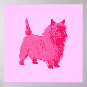 Affisch för rosa Cairn Terrier