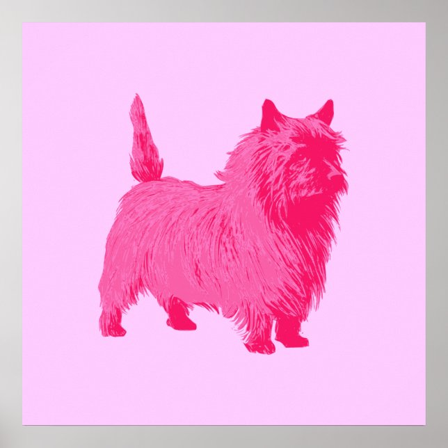 Affisch för rosa Cairn Terrier (Framsidan)