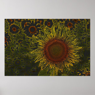 Affisch för solrosfält 36 x 24