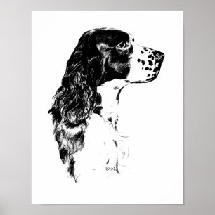 Affisch för Spaniel för engelsk Springer för