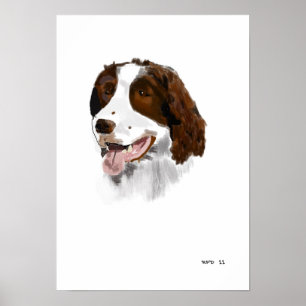 Affisch för SpringerSpaniel