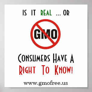 Affisch - GMO, vet rakt till